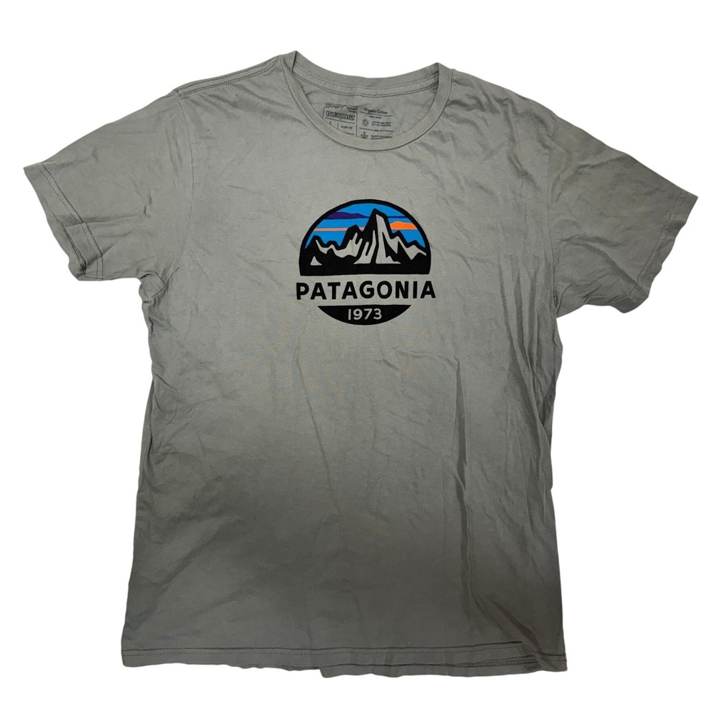 Patagonia Mens 1973 Mountain Logo Graphic T-Shirt Grey Slim Fit Large